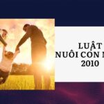 luat-nuoi-con-nuoi-2010