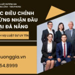 thu-tuc-dieu-chinh-giay-chung-nhan-dau-tu-tai-da-nang