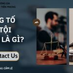 khong-to-giac-toi-pham-la-gi-phap-luat-quy-dinh-nhu-the-nao