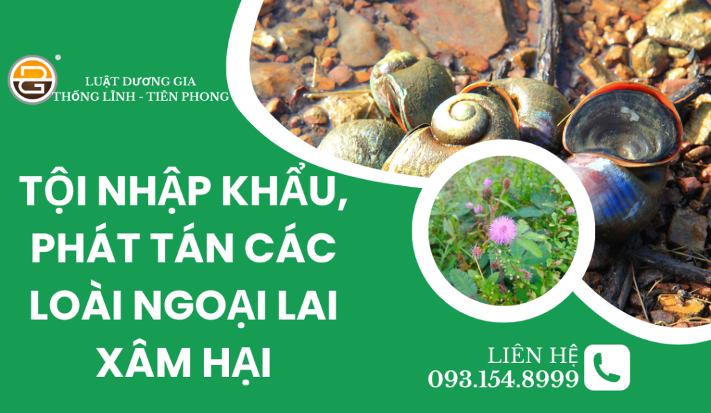 https://luatduonggia.com/hinh-su/toi-nhap-khau-ph…goai-lai-xam-hai.html