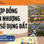 mau-hop-dong-chuyen-nhuong-quyen-su-dung-dat