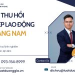 thu-tuc-thu-hoi-giay-phep-lao-dong-tai-quang-nam