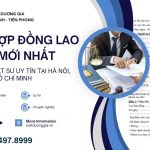 mau-hop-dong-lao-dong-moi-nhat