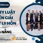 cong-ty-luat-chuyen-giai-quyet-ly-hon-tai-da-nang