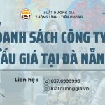 danh-sach-cac-cong-ty-dau-gia-tai-da-nang