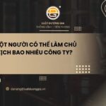 mot-nguoi-co-the-lam-chu-tich-bao-nhieu-cong-ty