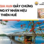 dich-vu-gia-han-giay-chung-nhan-dang-ky-nhan-hieu-tai-thua-thien-hue