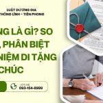 di-tang-la-gi-so-sanh-phan-biet-khai-niem-di-tang-va-di-chuc