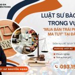 luat-su-bao-chua-trong-vu-an-mua-ban-trai-phep-chat-ma-tuy-tai-da-nang