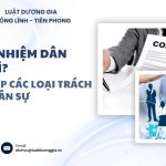 trach-nhiem-dan-su-la-gi-tong-hop-cac-loai-trach-nhiem-dan-su