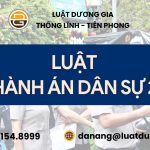 luat-thi-hanh-an-dan-su-2008