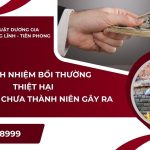 trach-nhiem-boi-thuong-thiet-hai-do-nguoi-chua-thanh-nien-gay-ra
