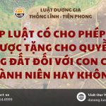 cha-me-duoc-tang-cho-dat-cho-con-chua-thanh-nien-hay-khong