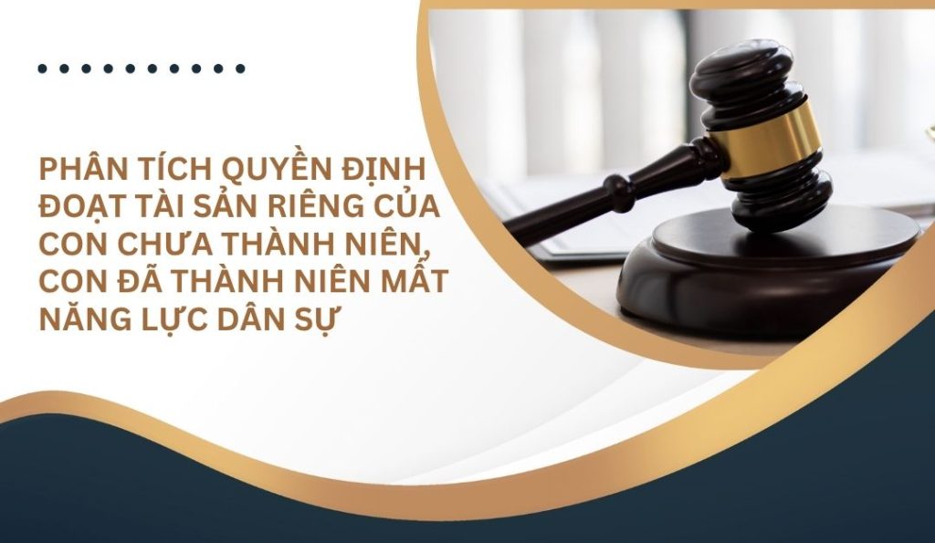 phan-tich-quyen-dinh-doat-tai-san-rieng-cua-con-chua-thanh-nien-con-da-thanh-nien-mat-nang-luc-dan-su