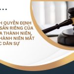 phan-tich-quyen-dinh-doat-tai-san-rieng-cua-con-chua-thanh-nien-con-da-thanh-nien-mat-nang-luc-dan-su