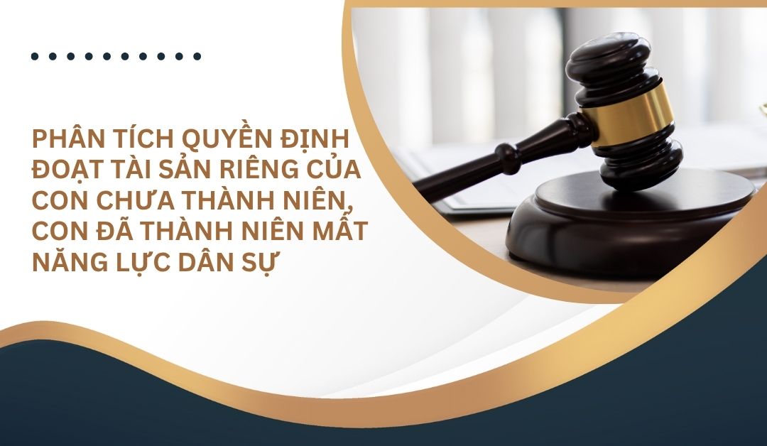 phan-tich-quyen-dinh-doat-tai-san-rieng-cua-con-chua-thanh-nien-con-da-thanh-nien-mat-nang-luc-dan-su