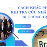 cach-khac-phuc-khi-tra-cuu-nhan-hieu-bi-trung-lap-nham-lan