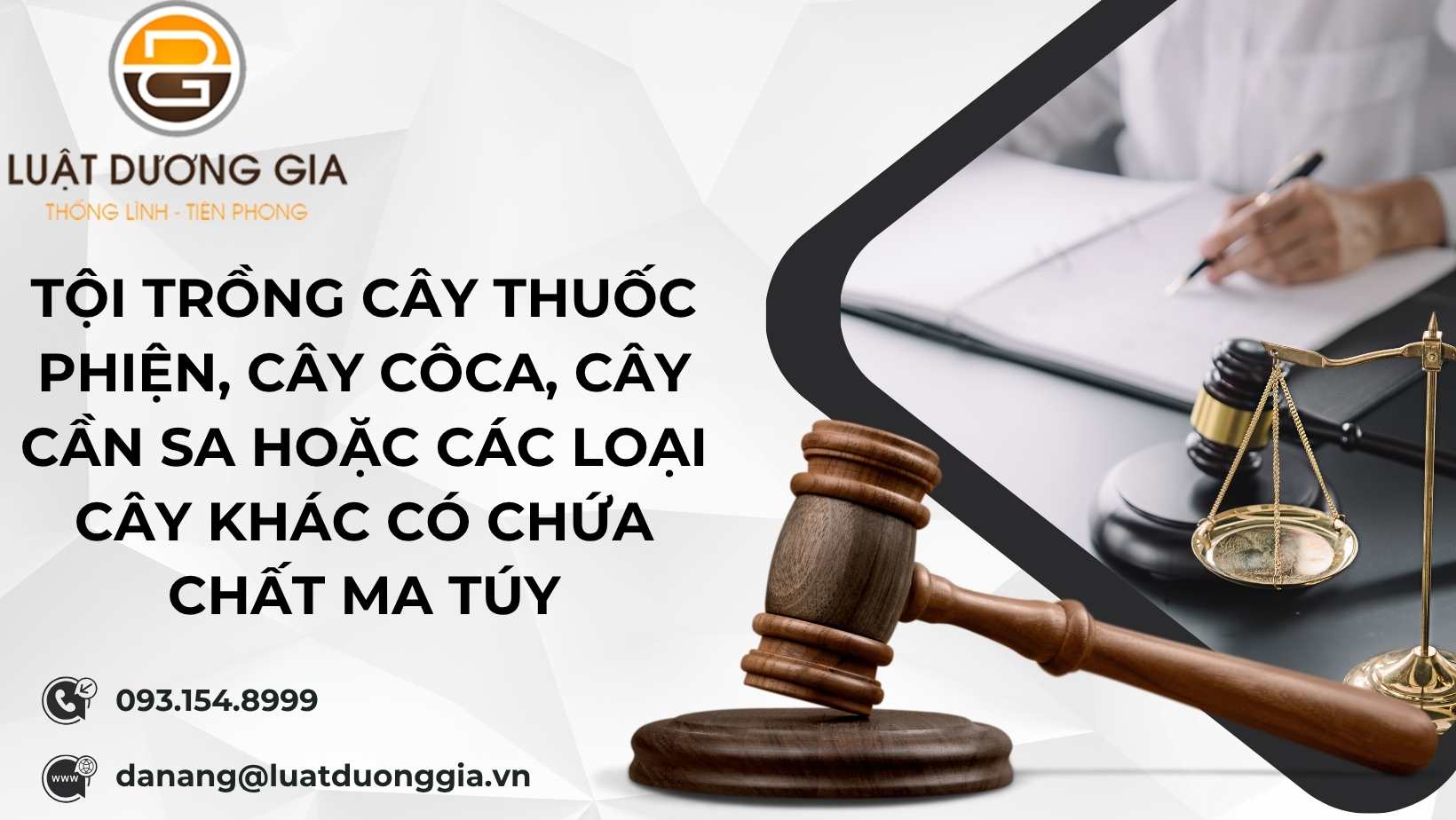 toi-trong-cay-thuoc-phien-cay-coca-cay-can-sa-hoac-cac-loai-cay-khac-co-chua-chat-ma-tuy
