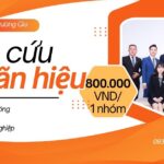 huong-dan-tra-cuu-nhan-hieu