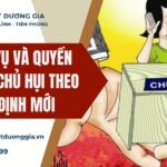 nghia-vu-va-quyen-loi-cua-chu-hui-theo-quy-dinh-moi