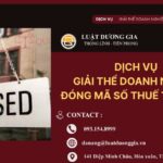dich-vu-giai-the-doanh-nghiep-dong-ma-so-thue-tron-goi