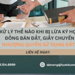 xu-ly-the-nao-khi-bi-lua-ky-hop-dong-ban-dat-giay-chuyen-nhuong-quyen-su-dung-dat