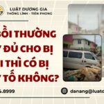 da-boi-thuong-day-du-cho-bi-hai-thi-co-bi-truy-to-khong