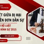 phan-biet-giua-bi-hai-va-nguyen-don-dan-su-theo-bo-luat-to-tung-hinh-su