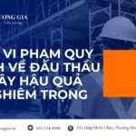 toi-vi-pham-quy-dinh-ve-dau-thau-gay-hau-qua-nghiem-trong
