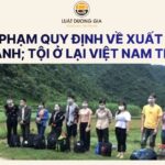 toi-vi-pham-quy-dinh-ve-xuat-canh-nhap-canh-toi-o-lai-viet-nam-trai-phep