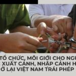 toi-to-chuc-moi-gioi-cho-nguoi-khac-xuat-canh-nhap-canh-hoac-o-lai-viet-nam-trai-phep