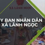 uy-ban-nhan-dan-xa-lanh-ngoc-thanh-pho-da-nang
