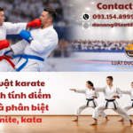luat-karate-cach-tinh-diem-va-phan-biet-kumite-kata