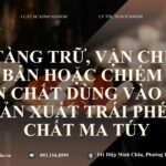 toi-tang-tru-van-chuyen-mua-ban-hoac-chiem-doat-tien-chat-dung-vao-viec-san-xuat-trai-phep-chat-ma-tuy