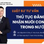 thu-tuc-dang-ky-nhan-nuoi-con-nuoi-trong-nuoc